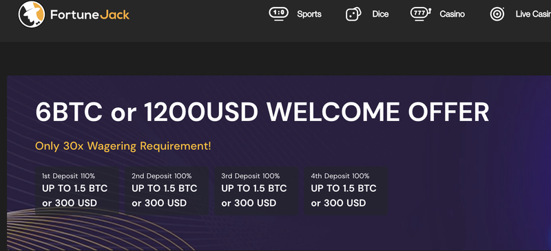 FortuneJack Bonus Up to 6 BTC or 1200USD fortunejack bonus offer 1