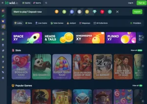 wild io casino screenshot