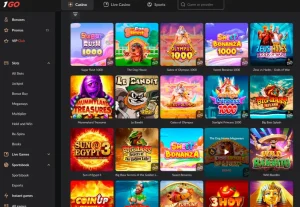 1go casino slots screenshot