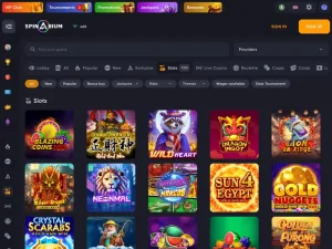 spinarium slots screenshot
